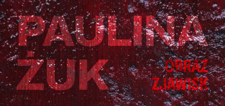 Paulina Żuk - Obrazy Zjawisk