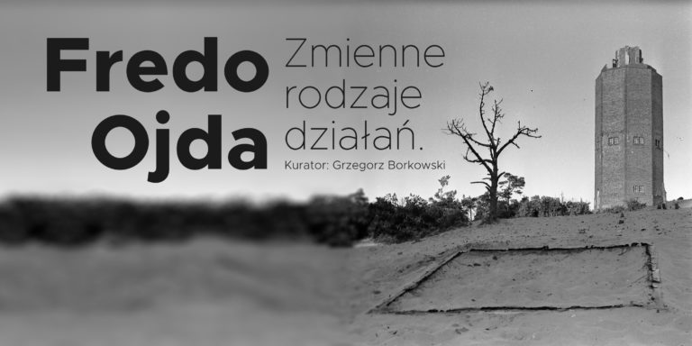 Fredo Ojda. Zmienne rodzaje działań. Kurator: Grzegorz Borkowski